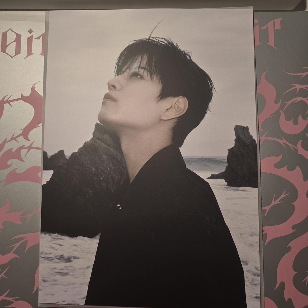 Stray Kids Do It Seungmin Poster Photo Board